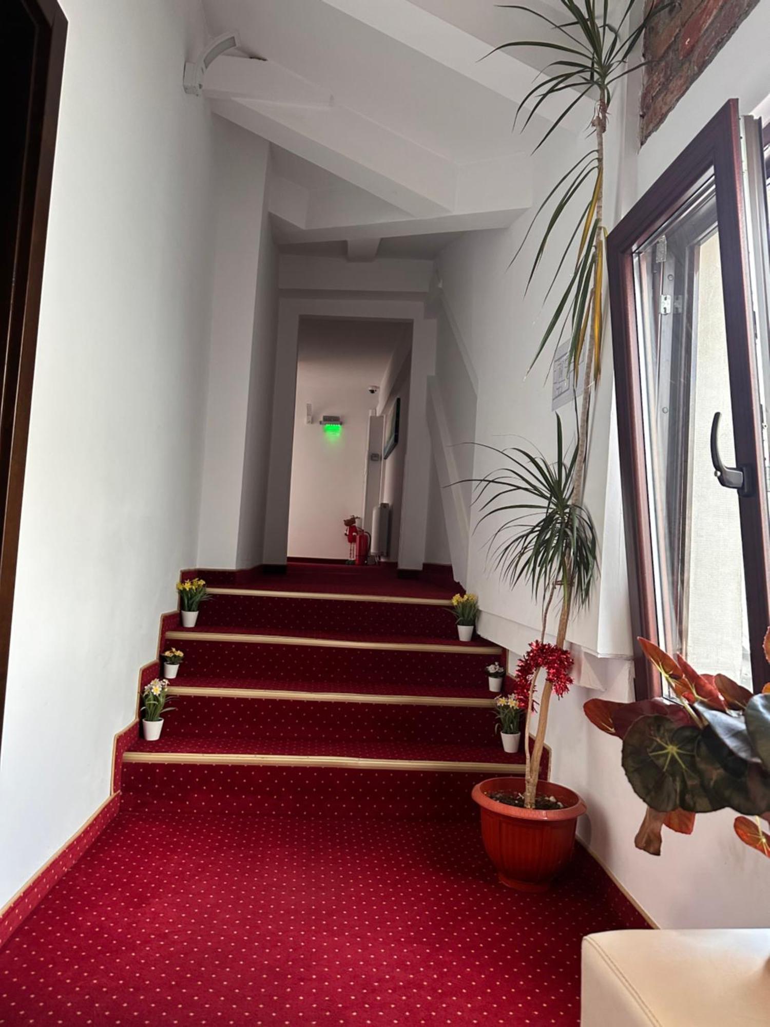 Pensiunea SADA Fagaras Bagian luar foto